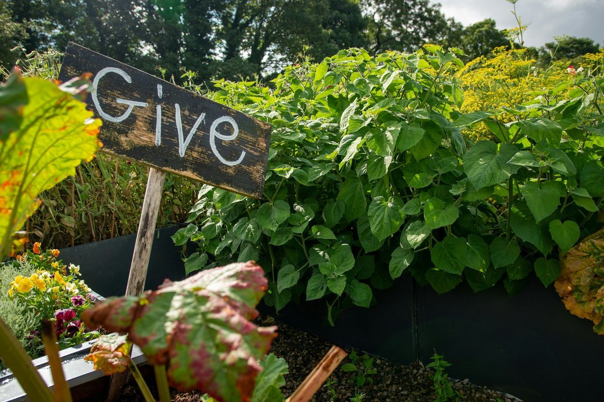 Innovate Today, Nourish Tomorrow: Reimagining Food Security Across Windsor