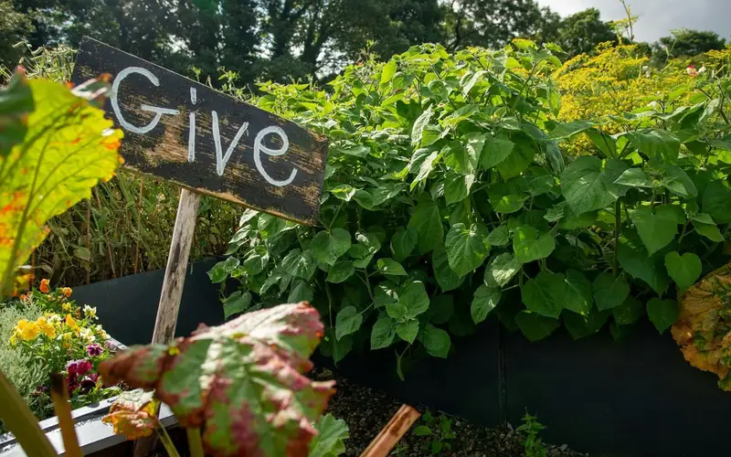 Innovate Today, Nourish Tomorrow: Reimagining Food Security Across Windsor