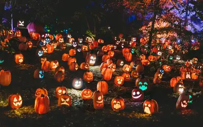 Spooktacular Ways to Give Back: Celebrating Halloween 2026 in Windsor