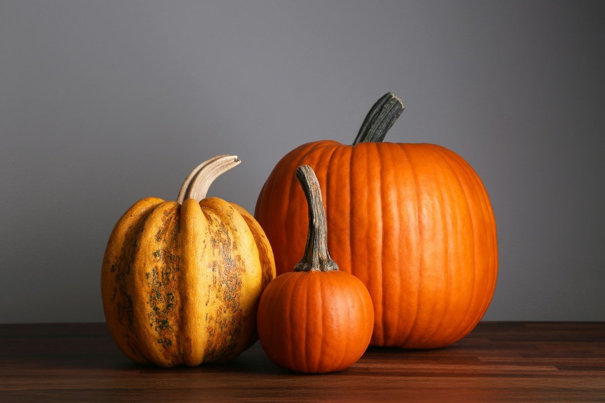 Setting a Wider Table: Meaningful Ways to Give Back This Thanksgiving Across Windsor