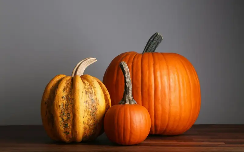 Setting a Wider Table: Meaningful Ways to Give Back This Thanksgiving Across Windsor