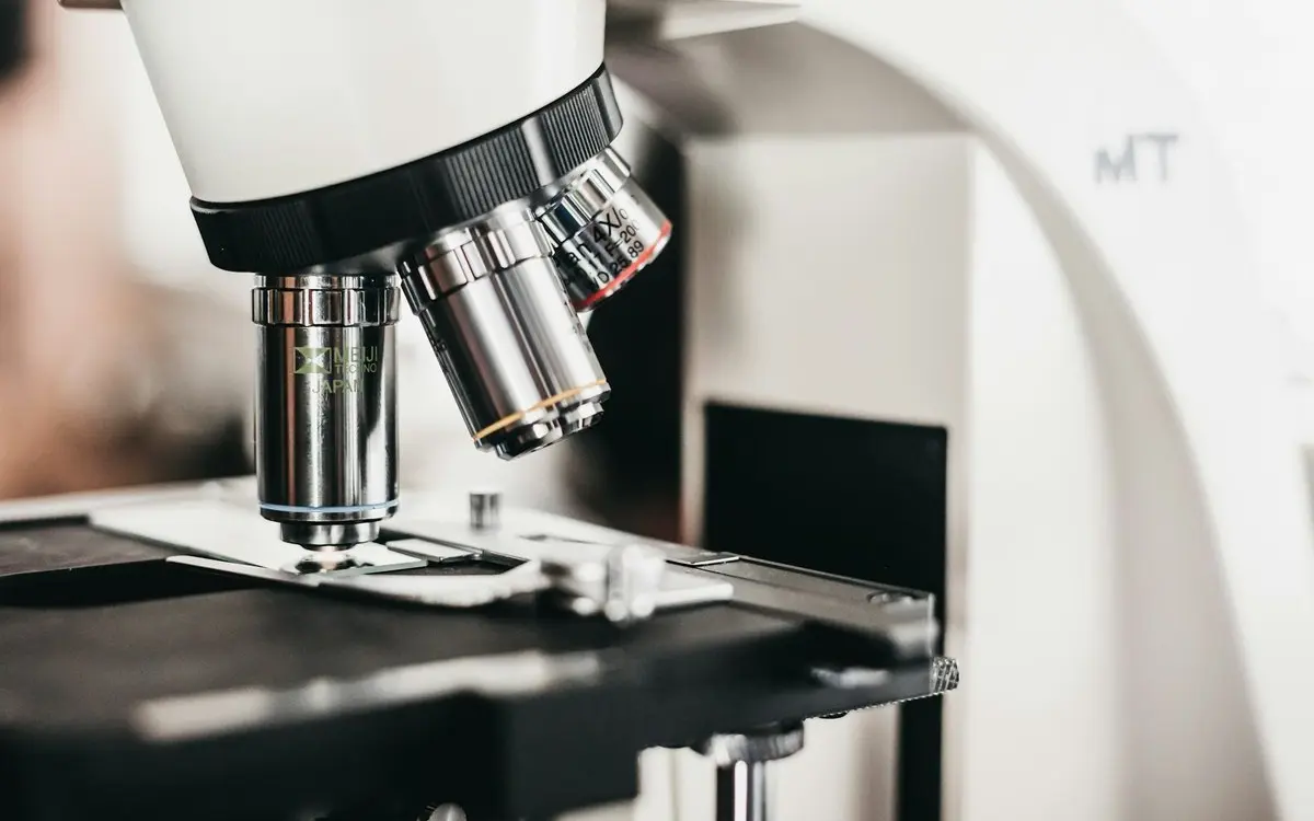 Micro-Volunteering in Windsor: How to Make a Big Difference in Just Minutes